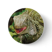 Iguana green pin