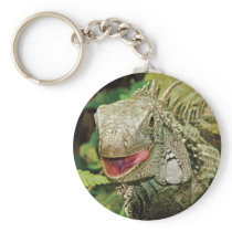 Iguana green keychains