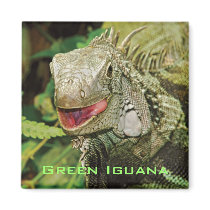 Iguana green fridge magnet