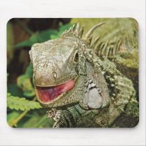Iguana green mouse pad