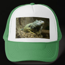 Iguana Hat hats