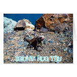 Iguana Hug You Cards