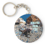 Iguana Hug You keychains