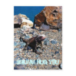 Iguana Hug You Postcards