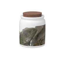 Iguana Image Candy Jar
