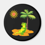 Iguana In The Desert Magnets