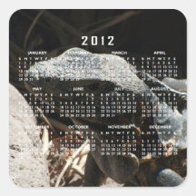 Iguana in the Shadows; 2012 Calendar Square Stickers
