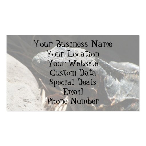 Iguana in the Shadows Business Card (back side)