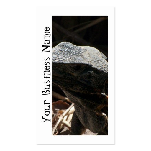 Iguana in the Shadows Business Card (front side)