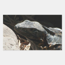 Iguana in the Shadows Stickers