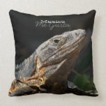 Iguana in the Sun; Mexico Souvenir Pillows