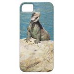 Iguana iPhone 5 Case
