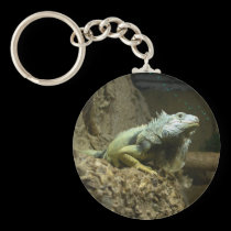 iguana keychain keychains