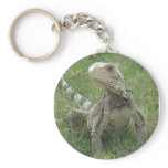 Iguana Keychain