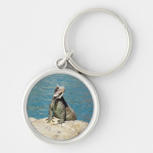 Iguana Keychain