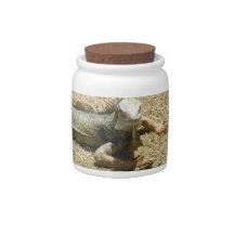 Iguana Lizard Candy Jar