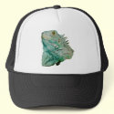 Iguana Lizard hats by kphotos Iguana Lizard hats