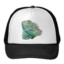 Iguana Lizard hats