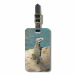 Iguana Luggage Tag