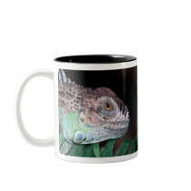 Iguana mugs by Designers_Cups Iguana mugs