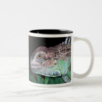 Iguana mugs by Designers_Cups Iguana mugs