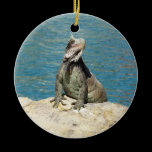 Iguana Ornament