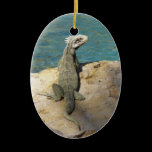 Iguana Ornament