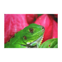Iguana - pink and green stretched canvas print