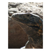 Iguana Portrait