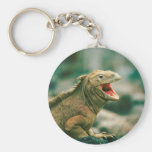 Iguana Says Rawr Keychains