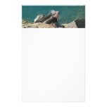 Iguana Stationery