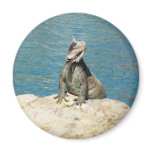 Iguana Tropical Wildlife 2 Inch Round Magnet