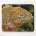 IGUANA WARRIOR Art mousepads by RavenSpiritPrints IGUANA WARRIOR Art mousepads
