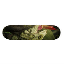 Iguana Western Cape Province, South Africa Custom Skateboard