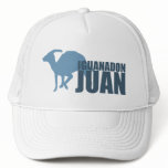Iguanadon Juan hats