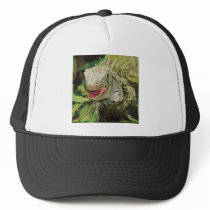 Iguanas Mesh Hat