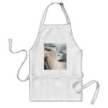 Iguazu Falls Brazil / Argentina aprons