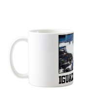 Iguazu Falls Mugs