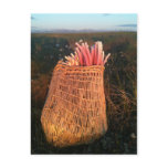 iitaat post card