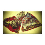 ijsvlinder. stretched canvas print