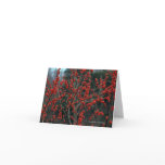 Ilex verticillata, winterberry cards