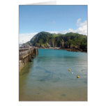 Ilfracombe coast | Card
