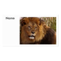 I'll Be Waiting_ Profile Card_by Elenne Boothe business cards