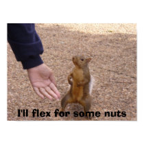 I'll flex for some nuts posters by litangel04 I'll flex for some nuts posters