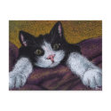 I'll get ya! tuxedo kitten postcard by Tanya Bond