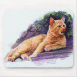 I'll Phyx Your Schmousie Mouse Pads