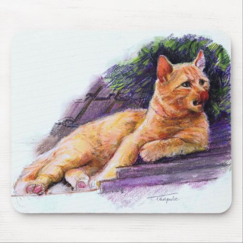 I'll Phyx Your Schmousie mousepad