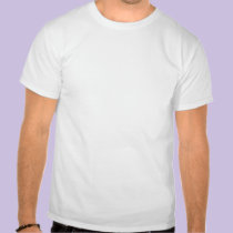 I'll save the world ... with my harmonica! t-shirts