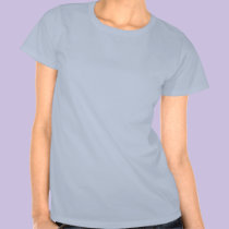 I'll save the world ... with my harmonica! t-shirts