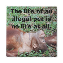 Illegal Pet Trade magnet